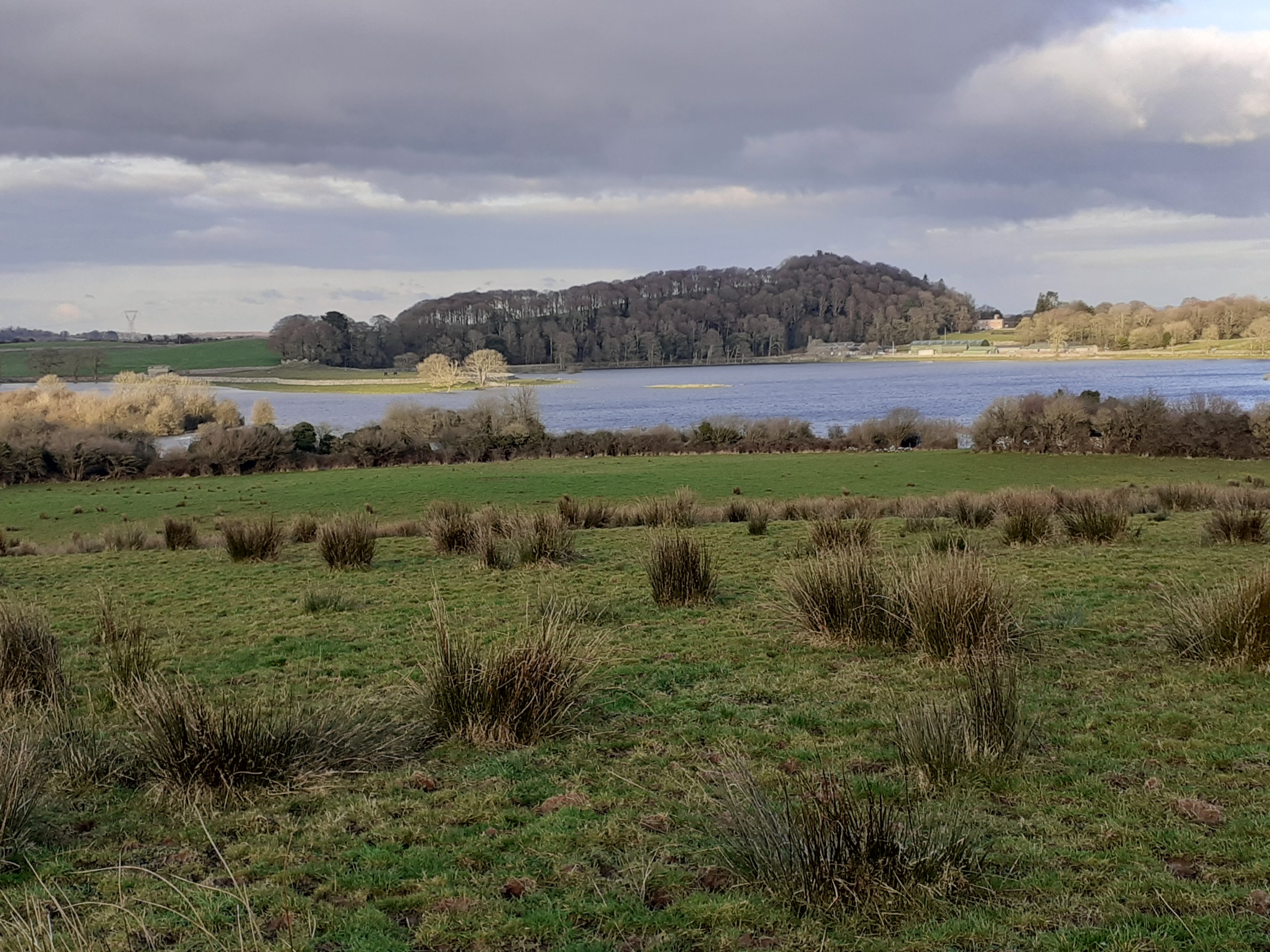 Ballyallia Lake in winter